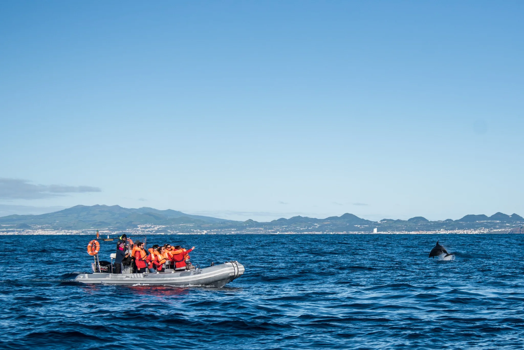 Observation des cétacés à São Miguel