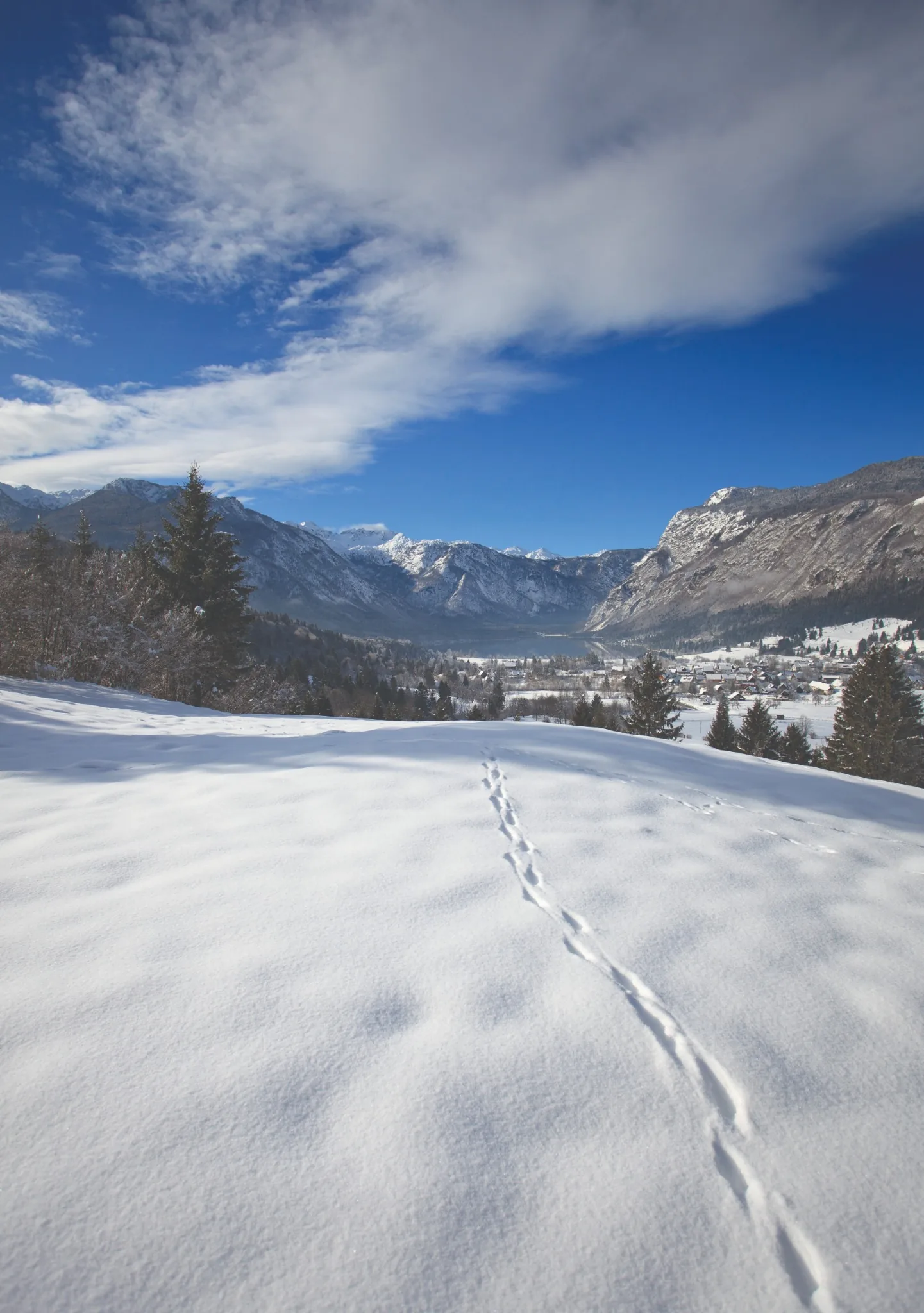 Paysage alpin de Slovénie