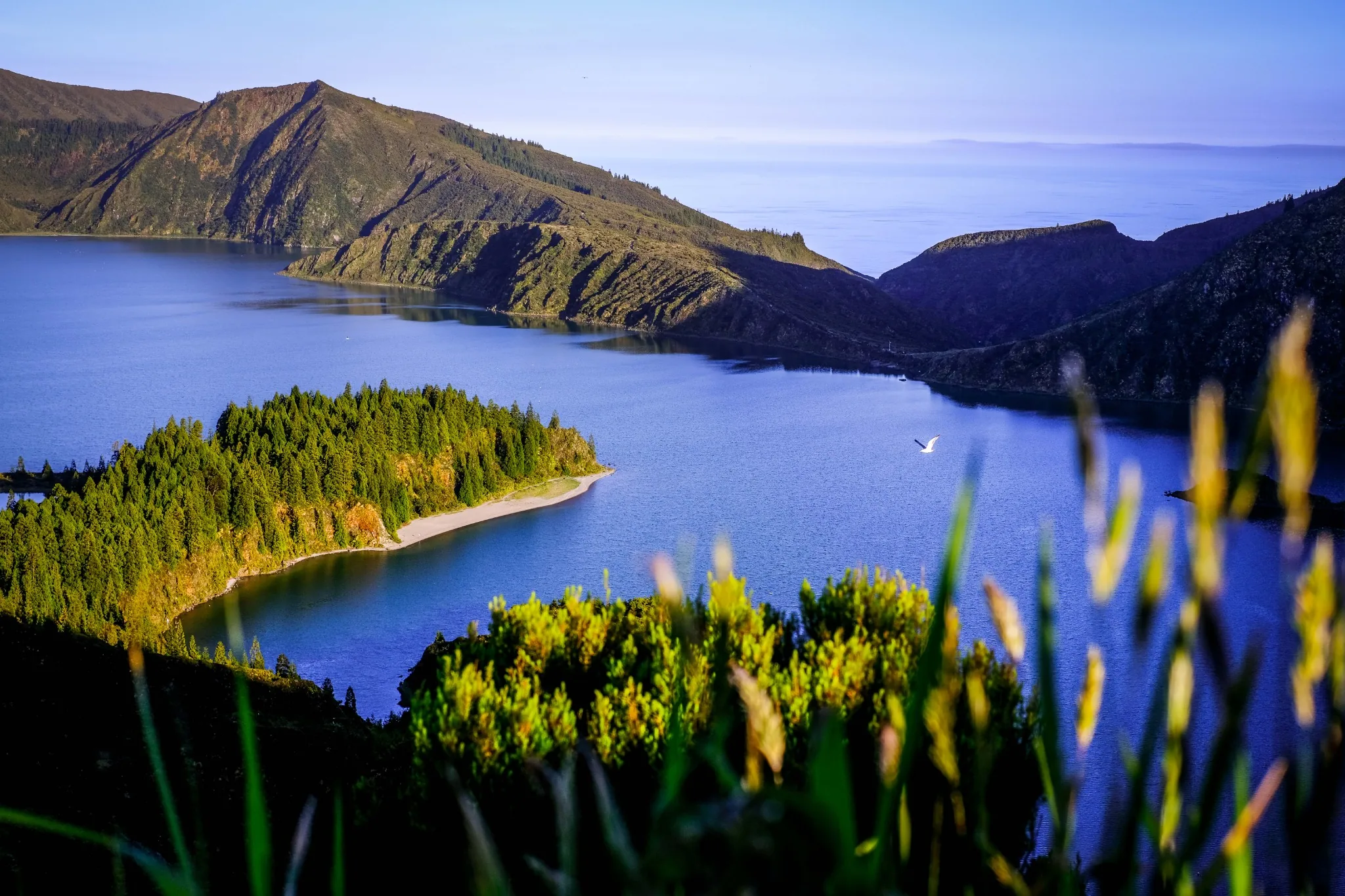 Lagoa do Fogo à São Miguel