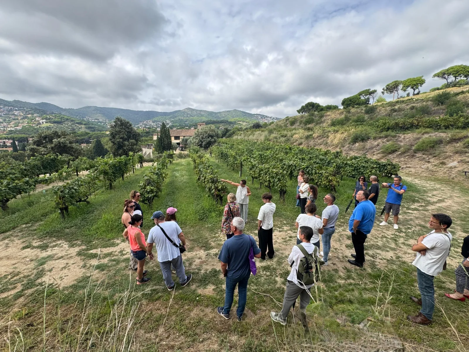Desti'Durable en Catalogne dans les vignes